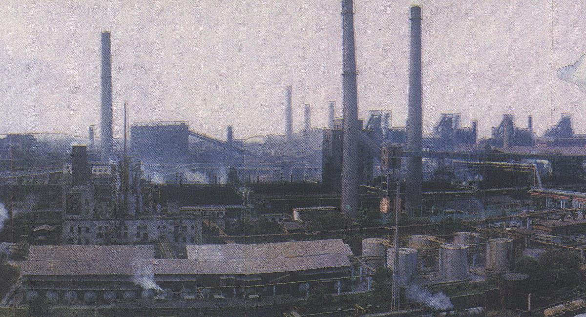 焦化廠電伴熱系統